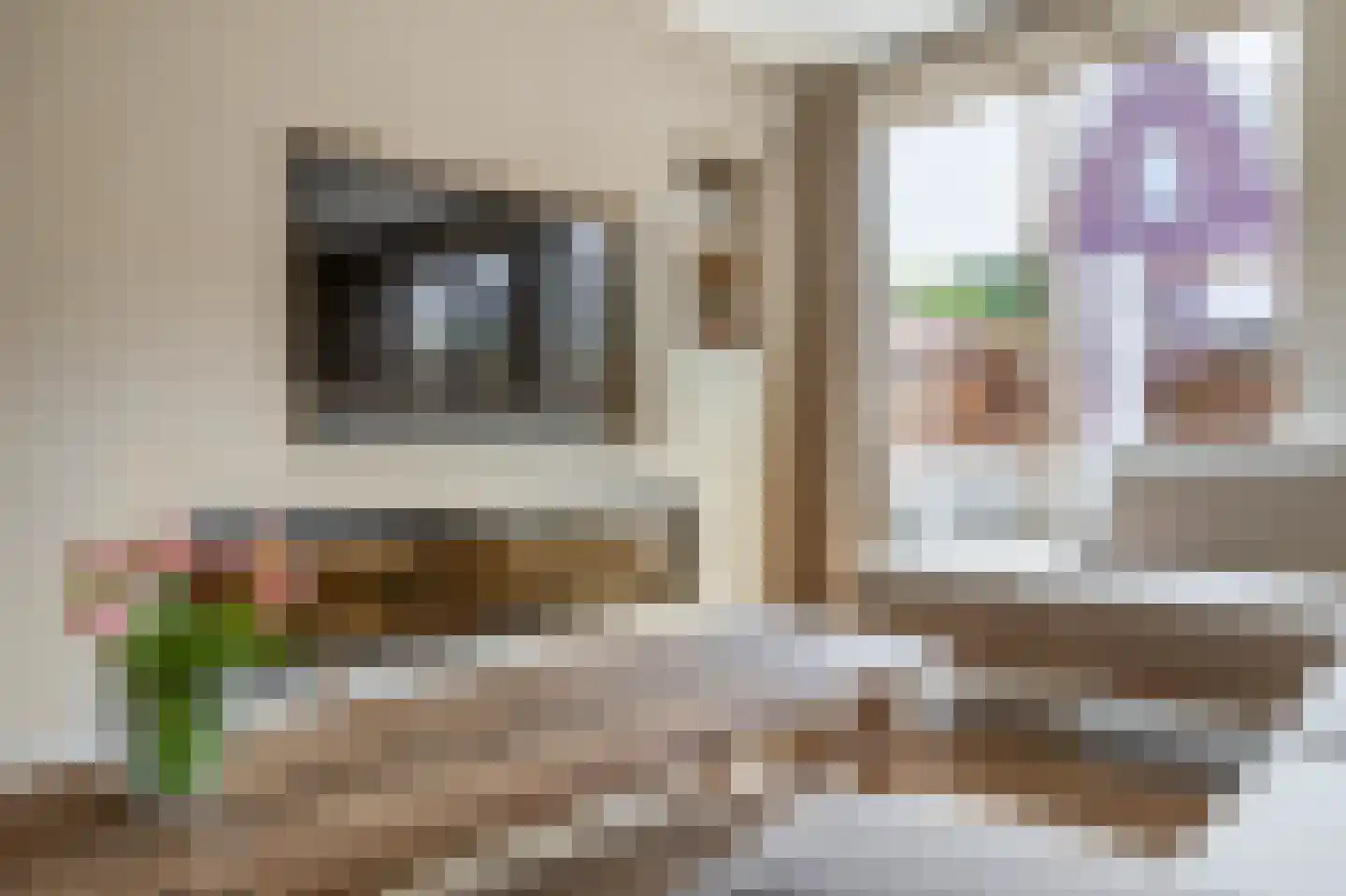 Bloembinderspark 39 Lisse thumbnail 9