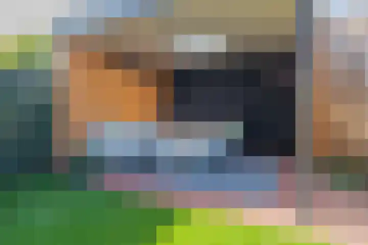 Bloembinderspark 68 Lisse thumbnail 15