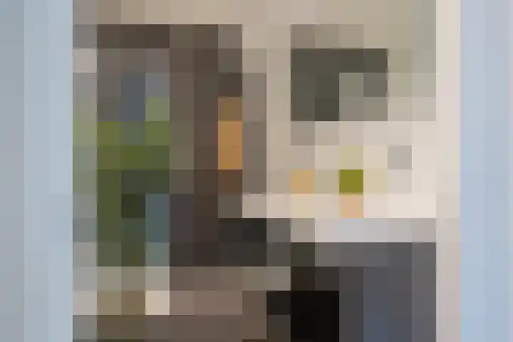 Bloembinderspark 68 Lisse thumbnail 30