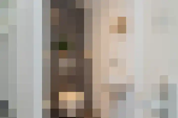Bloembinderspark 68 Lisse thumbnail 35