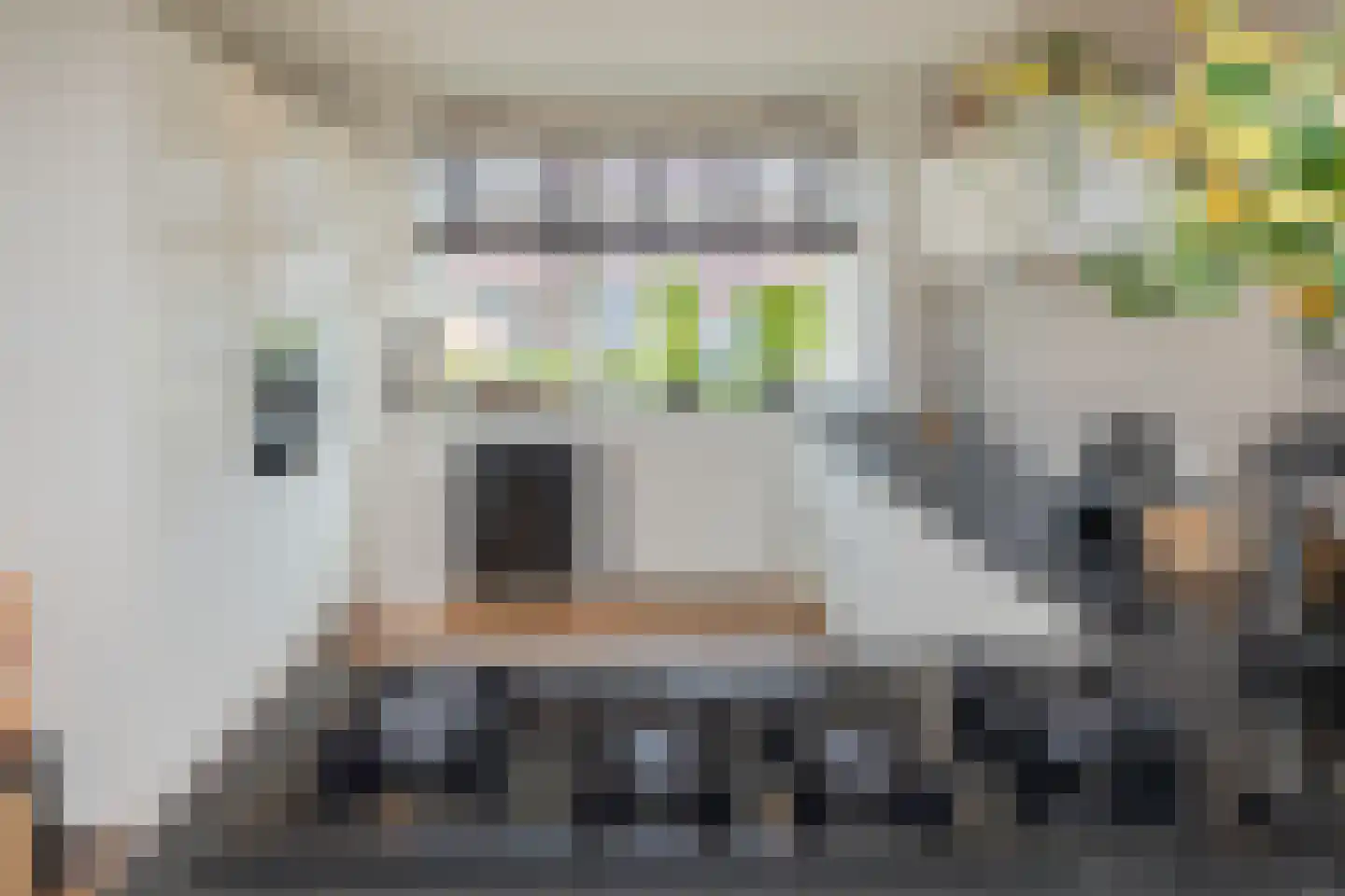Bloembinderspark 68 Lisse thumbnail 9