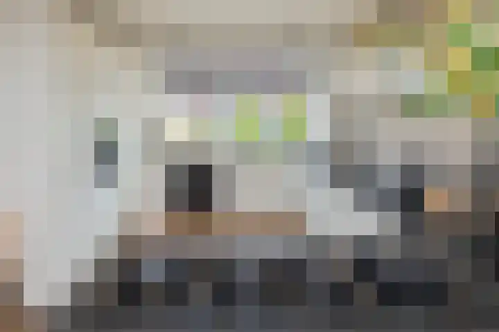 Bloembinderspark 68 Lisse thumbnail 9