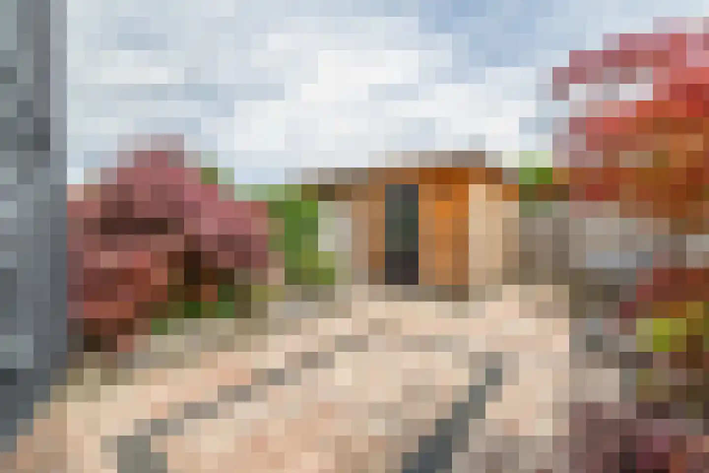 Bloembinderspark 73 Lisse thumbnail 17