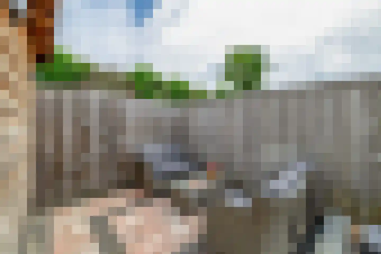 Bloembinderspark 73 Lisse thumbnail 19