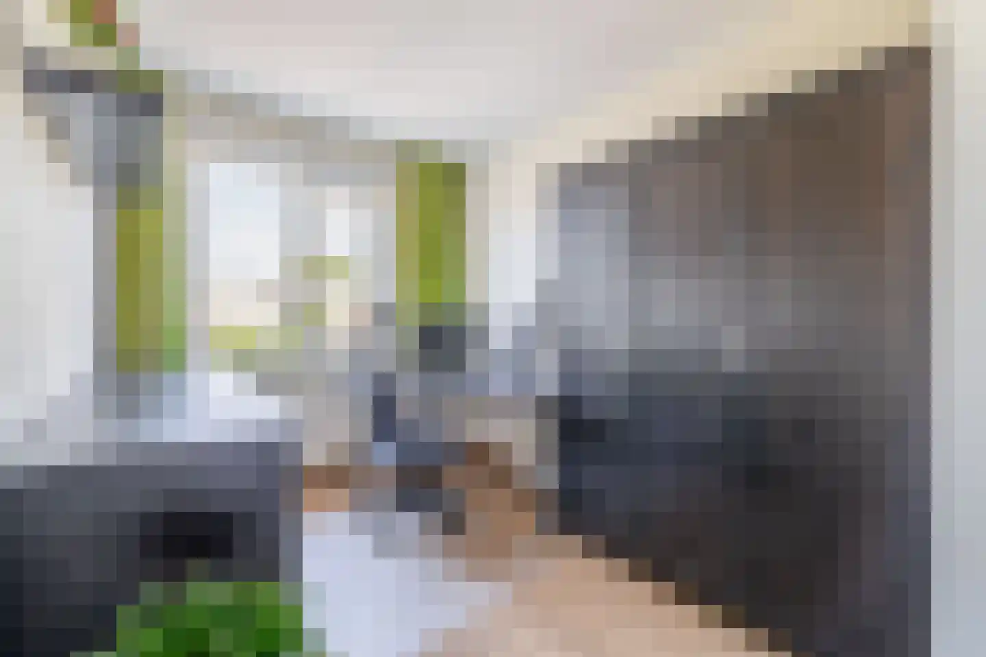 Bloembinderspark 73 Lisse thumbnail 32