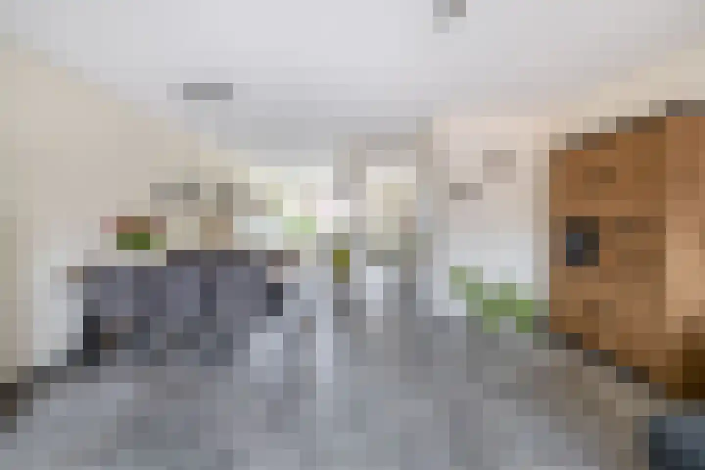 Bloembinderspark 73 Lisse thumbnail 4