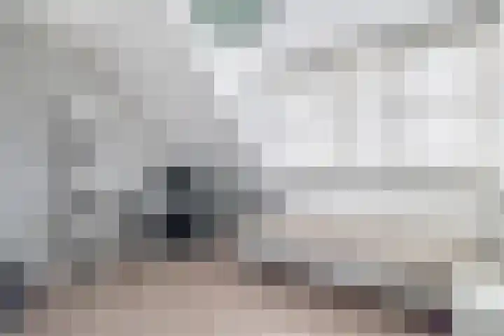 Bloembinderspark 77 Lisse thumbnail 24