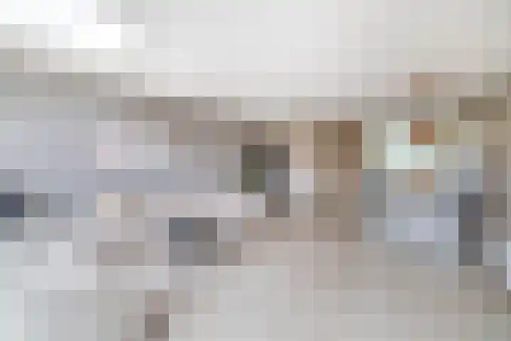 Bloembinderspark 77 Lisse thumbnail 4