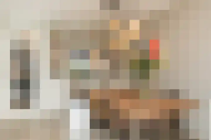 Bloembinderspark 95 Lisse thumbnail 19