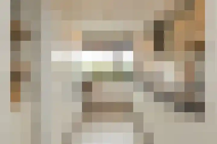Bloembinderspark 95 Lisse thumbnail 20