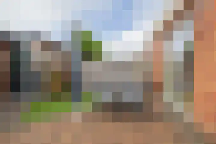 Bloembinderspark 95 Lisse thumbnail 24