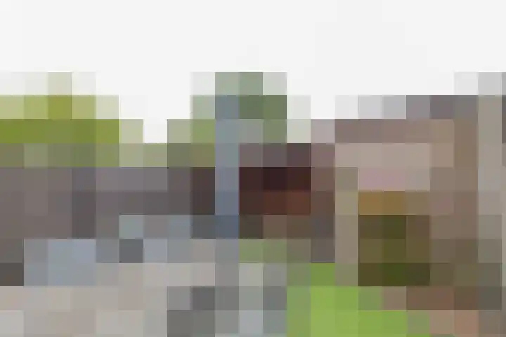 Bloembinderspark 95 Lisse thumbnail 25