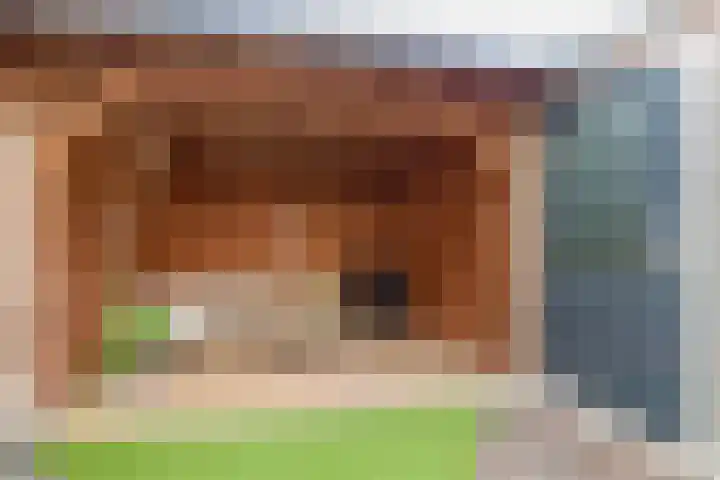 Bloembinderspark 95 Lisse thumbnail 31