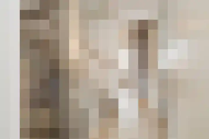 Bloembinderspark 95 Lisse thumbnail 33