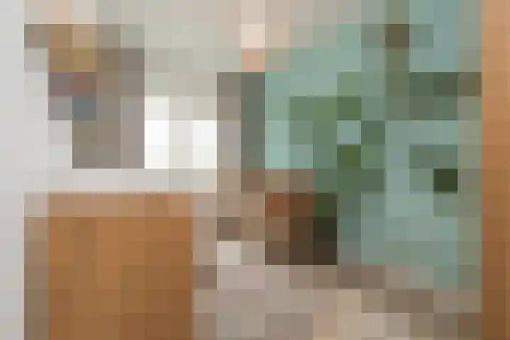 Bloembinderspark 95 Lisse thumbnail 37
