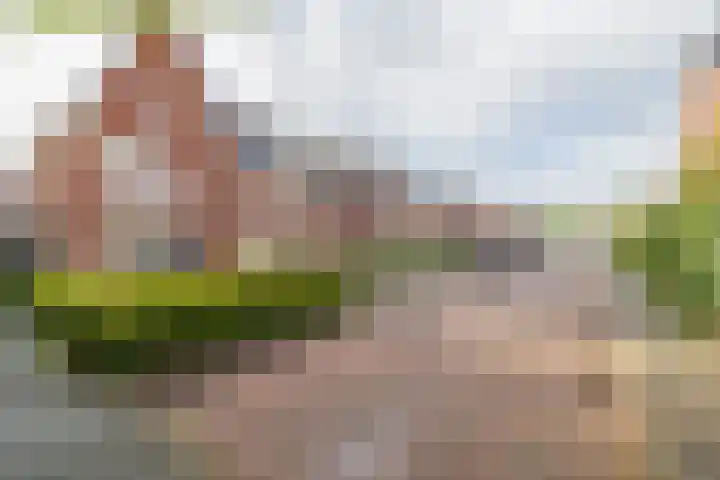 Bloembinderspark 95 Lisse thumbnail 5