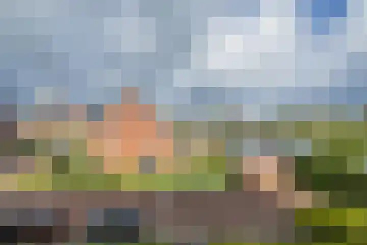 Bloembinderspark 95 Lisse thumbnail 55