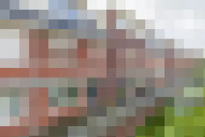 Bloembinderspark 95 Lisse thumbnail 6