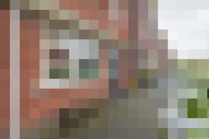 Bloembinderspark 95 Lisse thumbnail 7