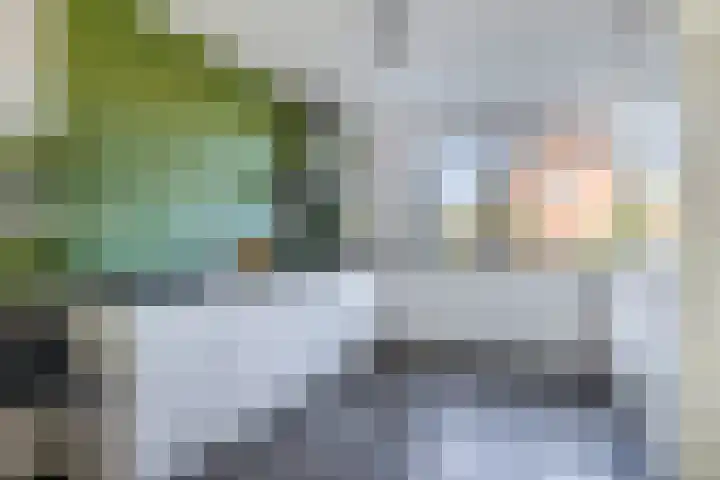 Bloembinderspark 97 Lisse thumbnail 11