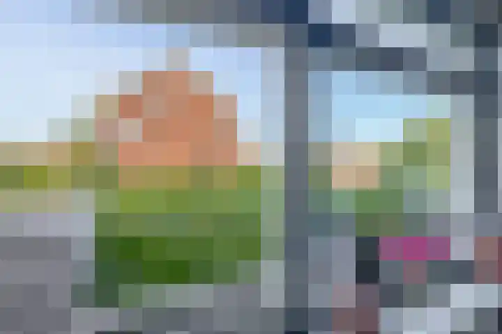 Bloembinderspark 97 Lisse thumbnail 12