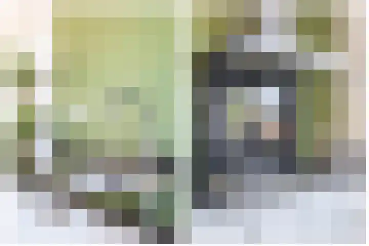 Bloembinderspark 97 Lisse thumbnail 13