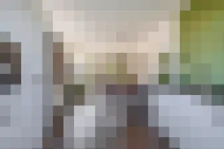 Bloembinderspark 97 Lisse thumbnail 14