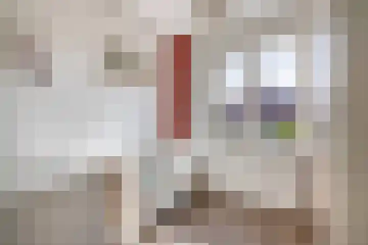 Bloembinderspark 97 Lisse thumbnail 16