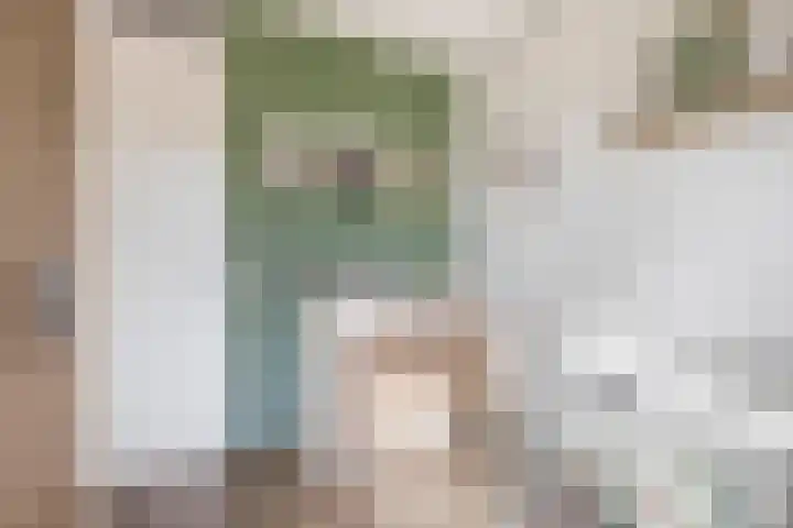 Bloembinderspark 97 Lisse thumbnail 17