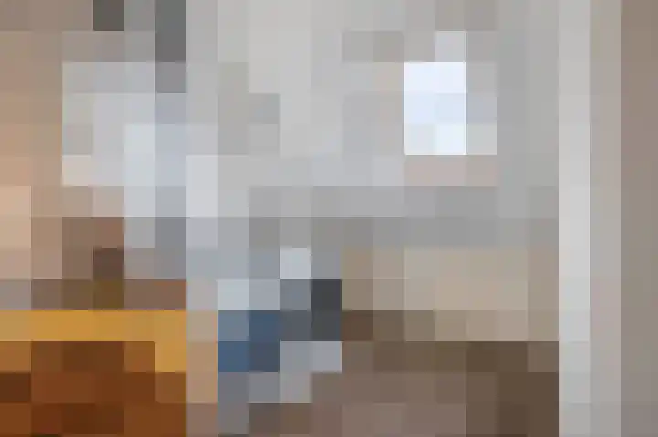 Bloembinderspark 97 Lisse thumbnail 27