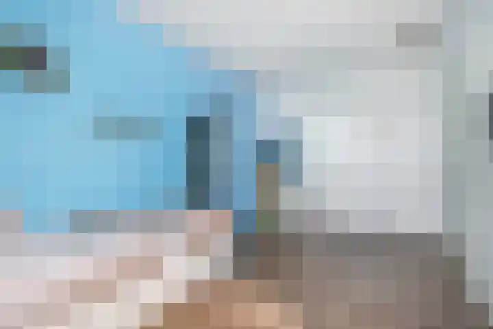 Bloembinderspark 97 Lisse thumbnail 30