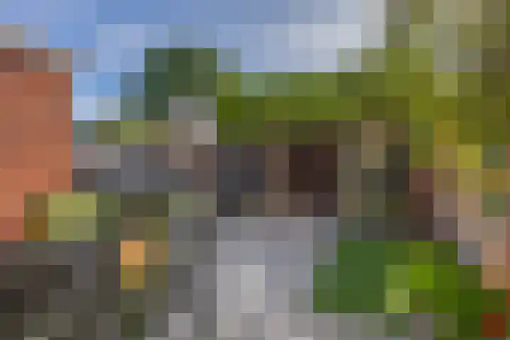 Bloembinderspark 97 Lisse thumbnail 33