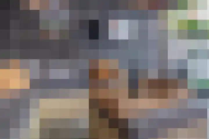 Bloembinderspark 97 Lisse thumbnail 35