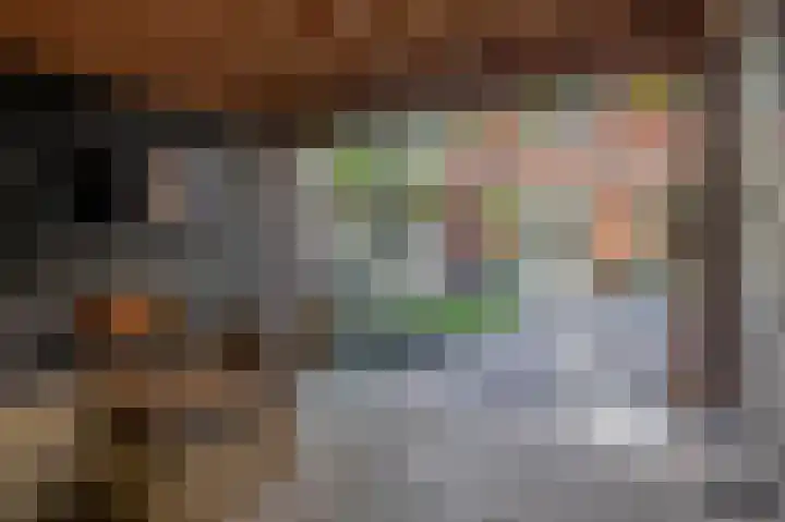 Bloembinderspark 97 Lisse thumbnail 36
