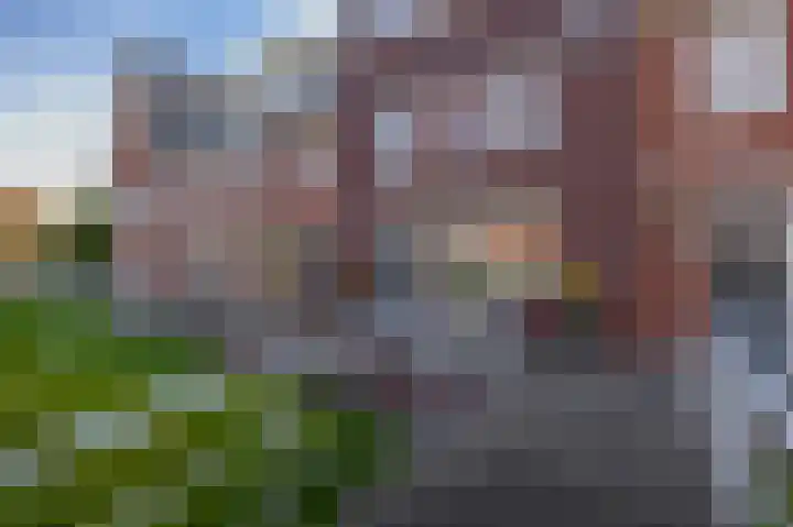 Bloembinderspark 97 Lisse thumbnail 38