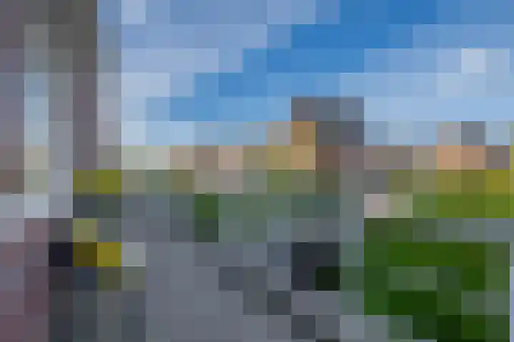 Bloembinderspark 97 Lisse thumbnail 39