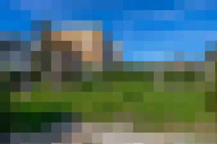 Bloembinderspark 97 Lisse thumbnail 42