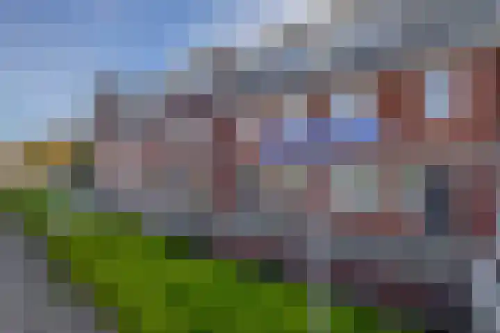 Bloembinderspark 97 Lisse thumbnail 44