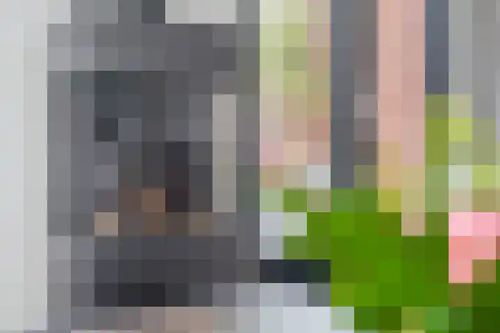 Bloembinderspark 97 Lisse thumbnail 5