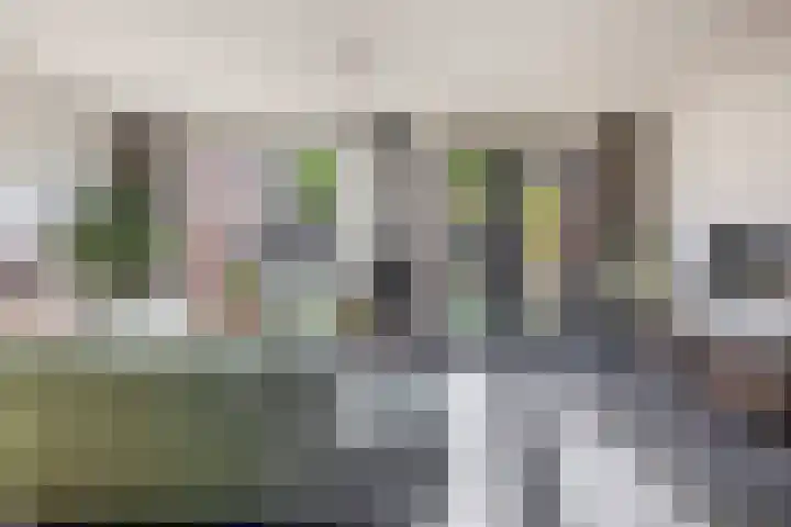 Bloembinderspark 97 Lisse thumbnail 6