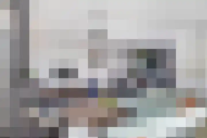 Bloembinderspark 97 Lisse thumbnail 8