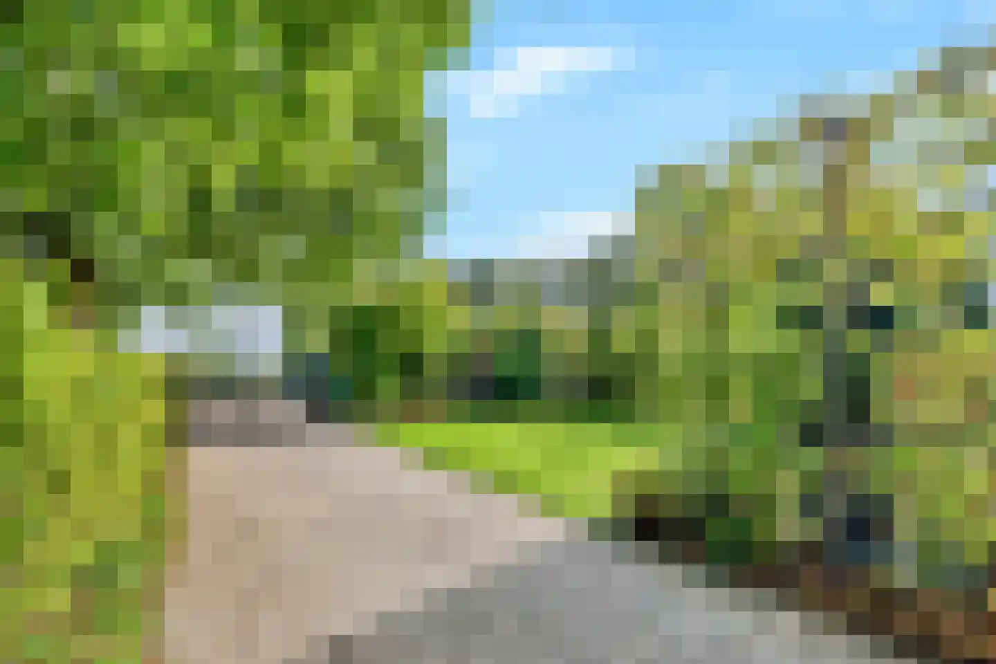 Bloemcamplaan 44 Wassenaar thumbnail 11