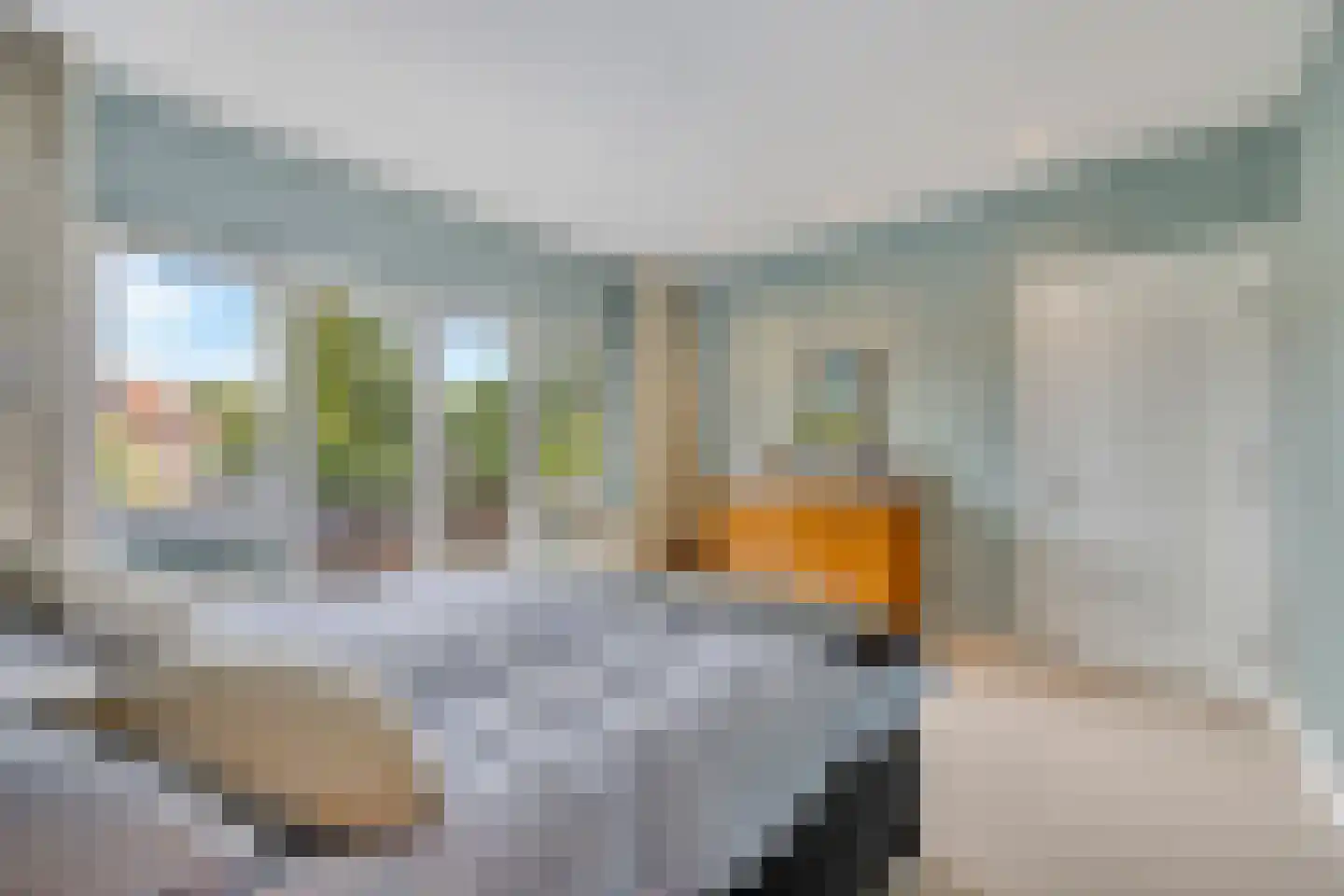 Bloemcamplaan 44 Wassenaar thumbnail 26