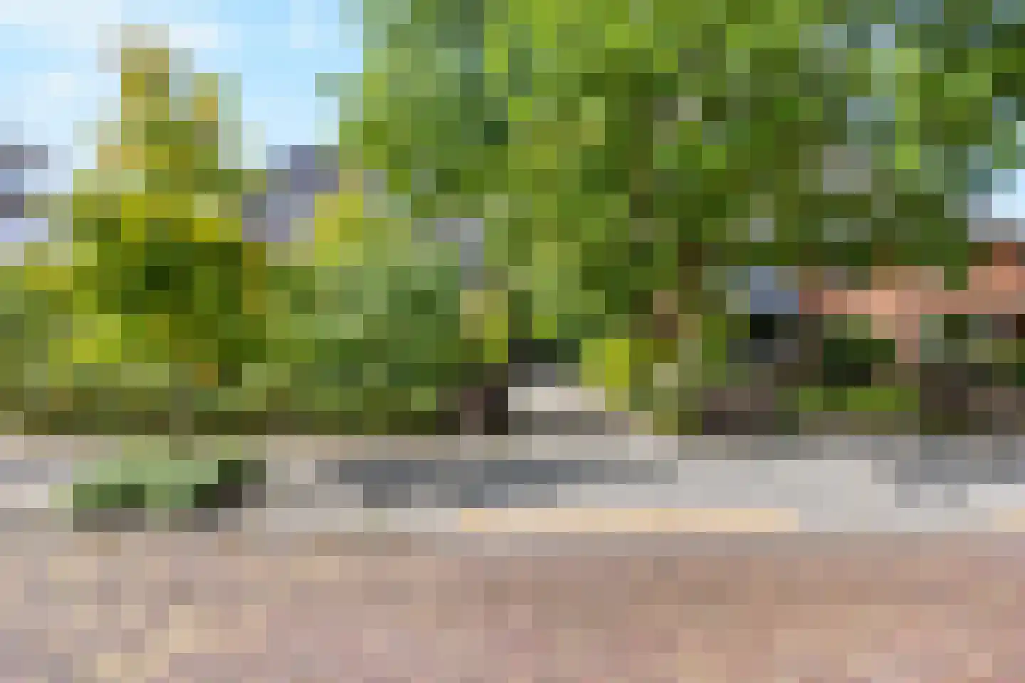 Bloemcamplaan 44 Wassenaar thumbnail 38