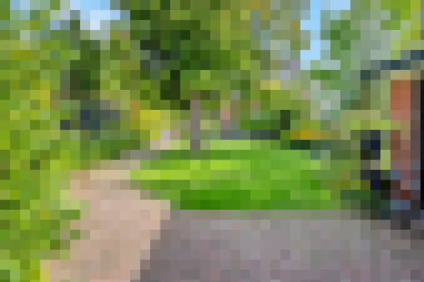 Bloemcamplaan 44 Wassenaar thumbnail 8