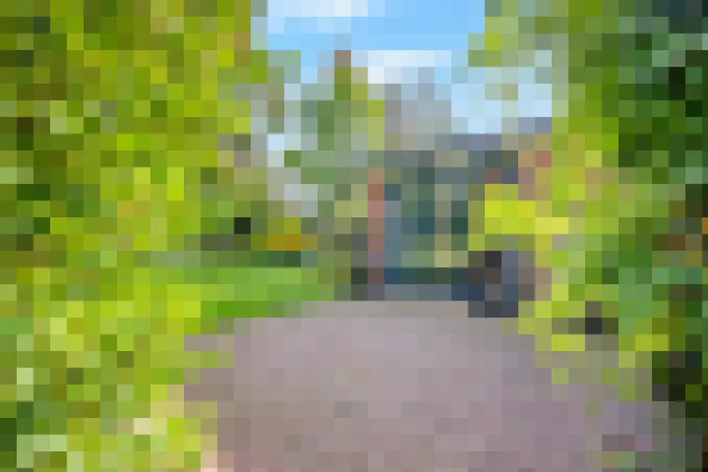 Bloemcamplaan 44 Wassenaar thumbnail 9