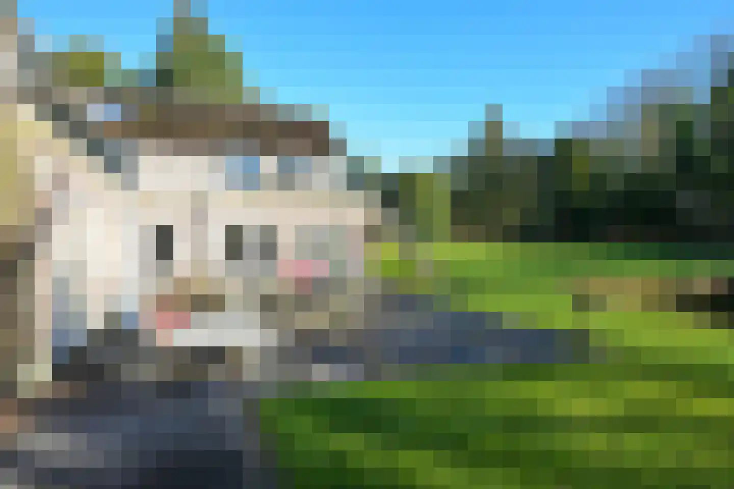 Bloemcamplaan 53 A Wassenaar thumbnail 49
