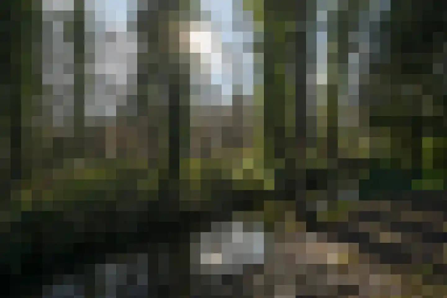 Bloemcamplaan 53 A Wassenaar thumbnail 51