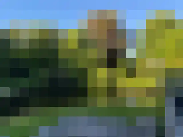 Bloemcamplaan 53 A Wassenaar thumbnail 56