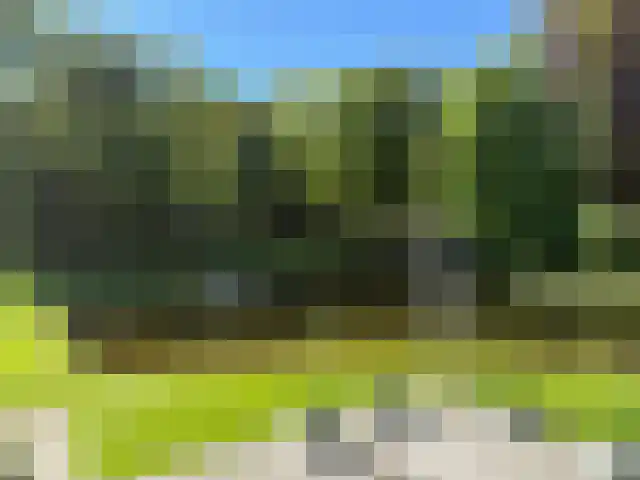 Bloemcamplaan 53 A Wassenaar thumbnail 57